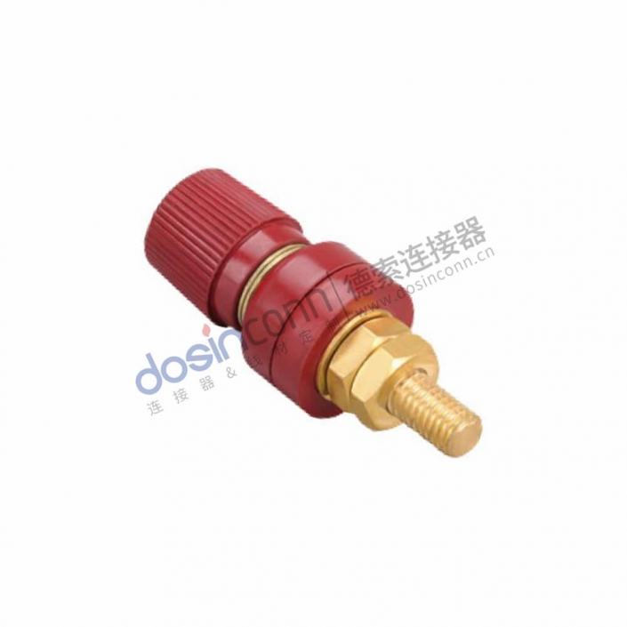 DS-555-R (3)